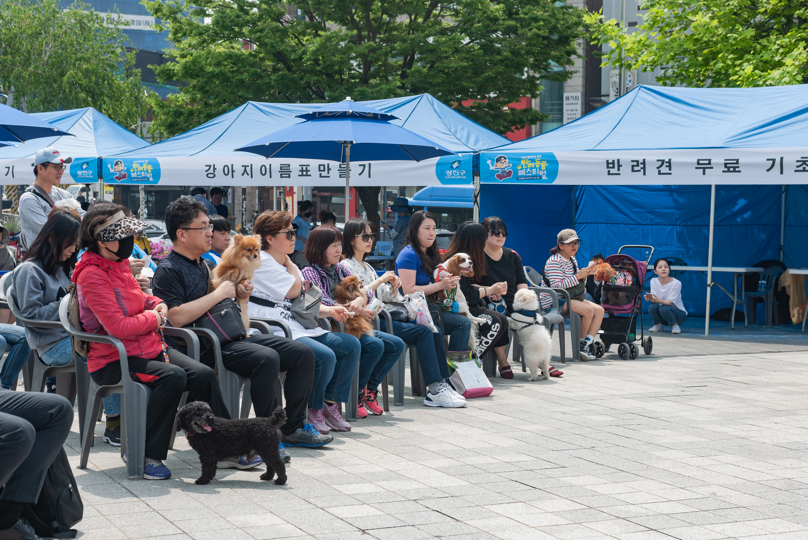 20190504-2019 반려동물 페스티벌 20190504-32393_S_182629.jpg