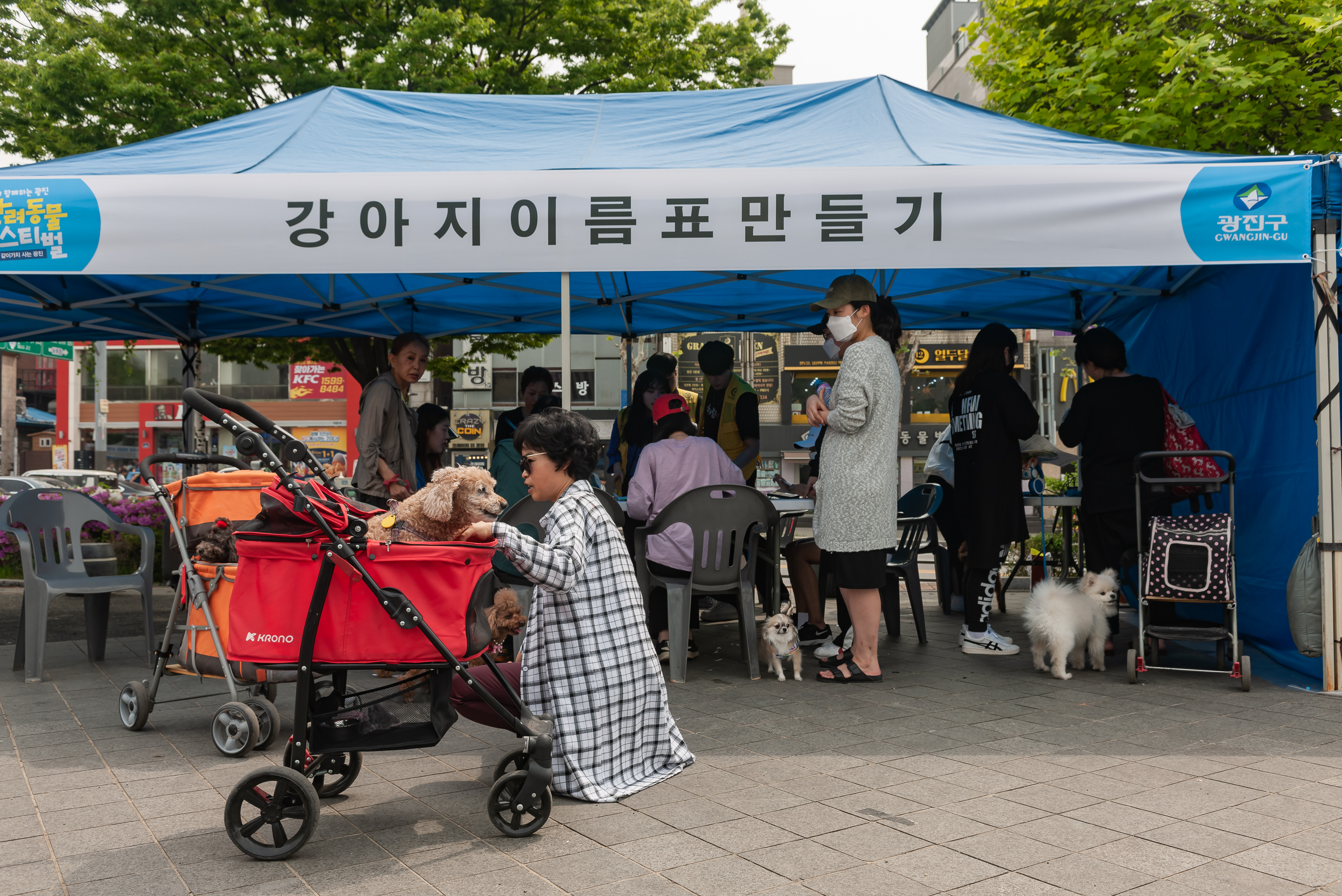 20190504-2019 반려동물 페스티벌 20190504-33179_S_182631.jpg