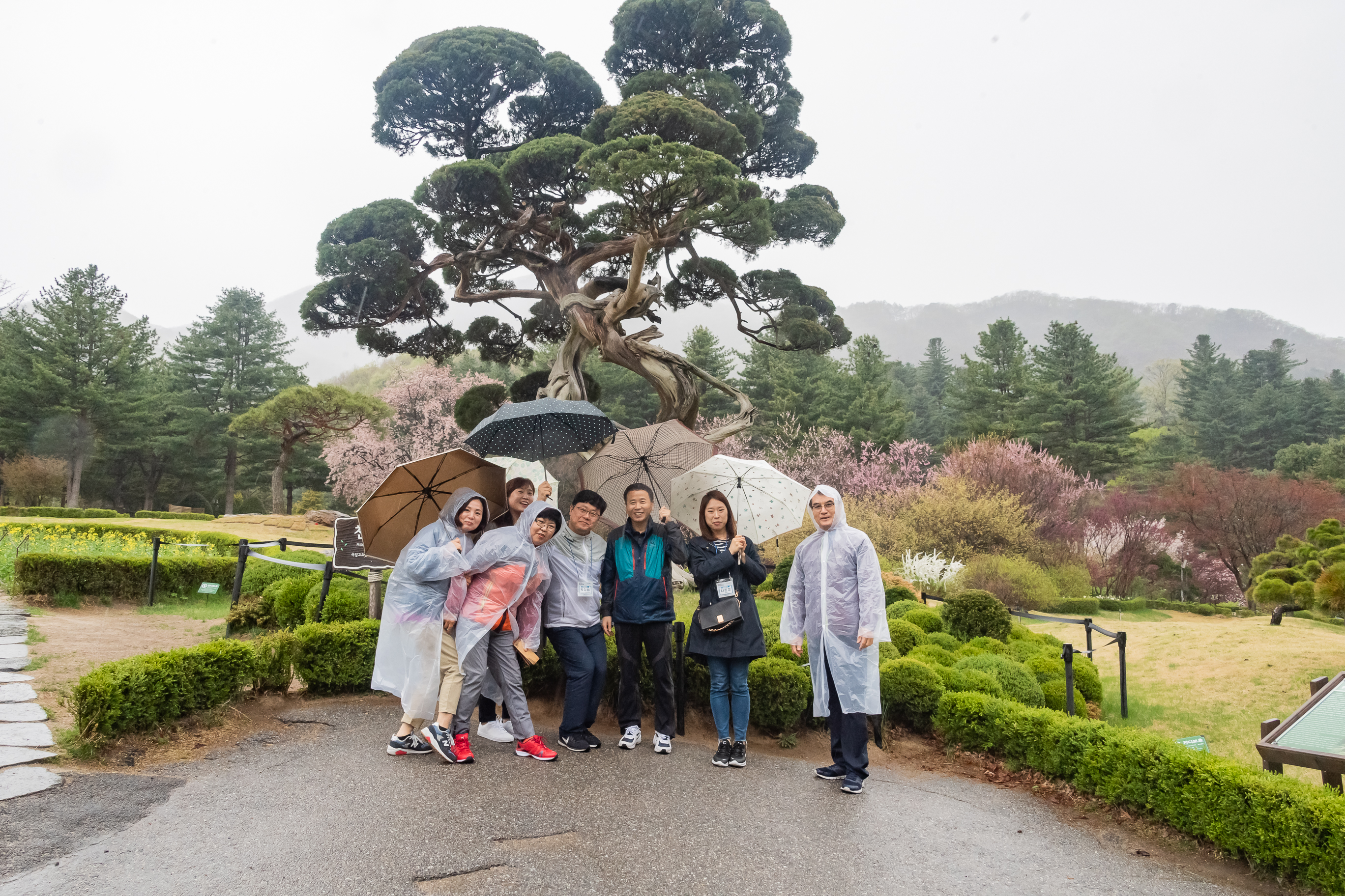 20190425-2019 광진구 통장 역량강화 워크숍 20190425-25527_S_185024.jpg