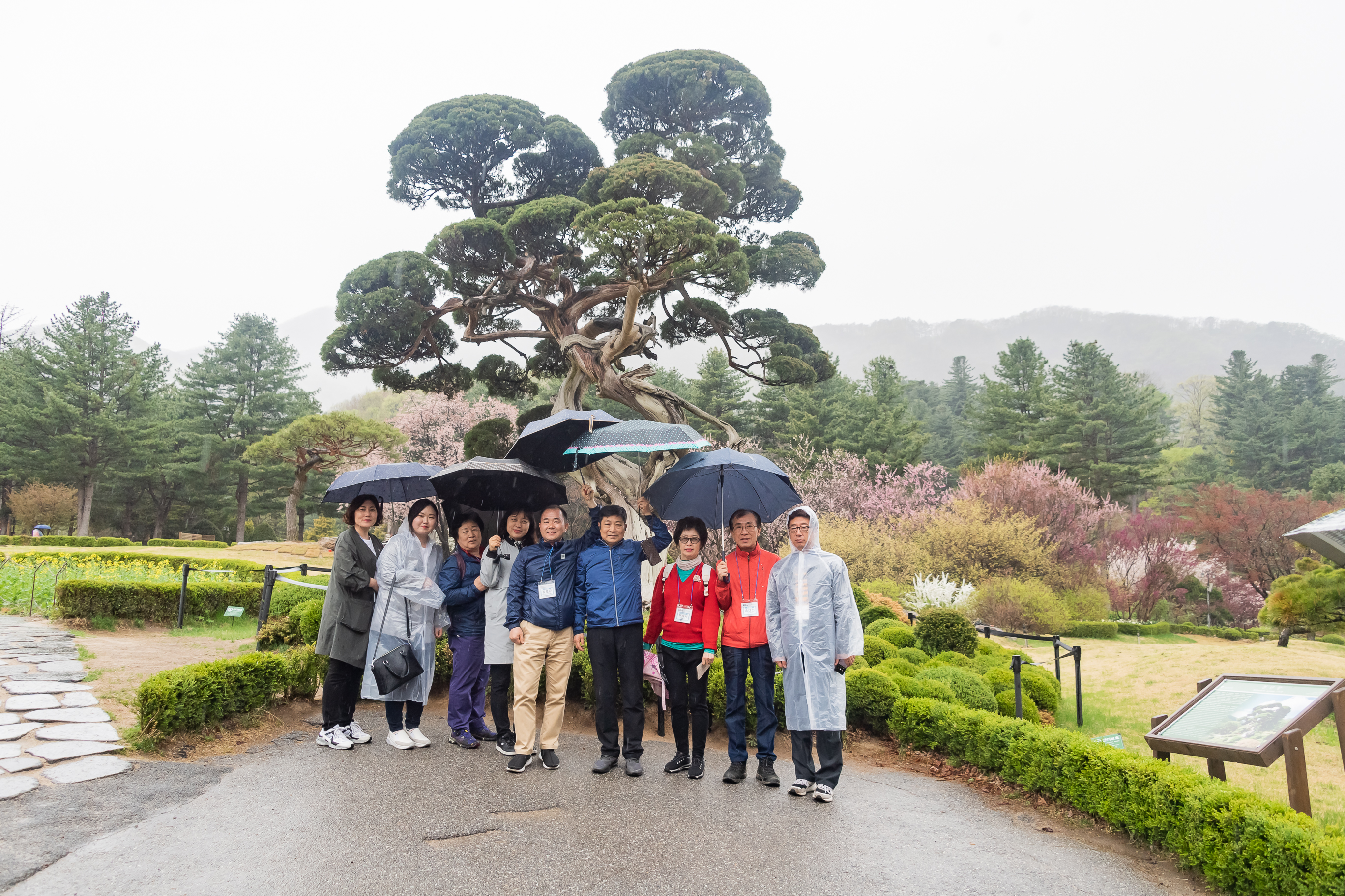 20190425-2019 광진구 통장 역량강화 워크숍 20190425-25534_S_185025.jpg
