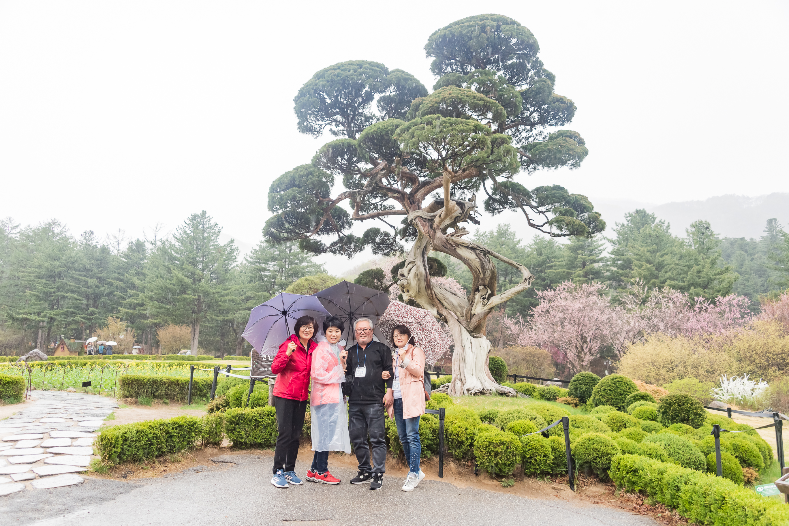 20190425-2019 광진구 통장 역량강화 워크숍 20190425-25547_S_185026.jpg