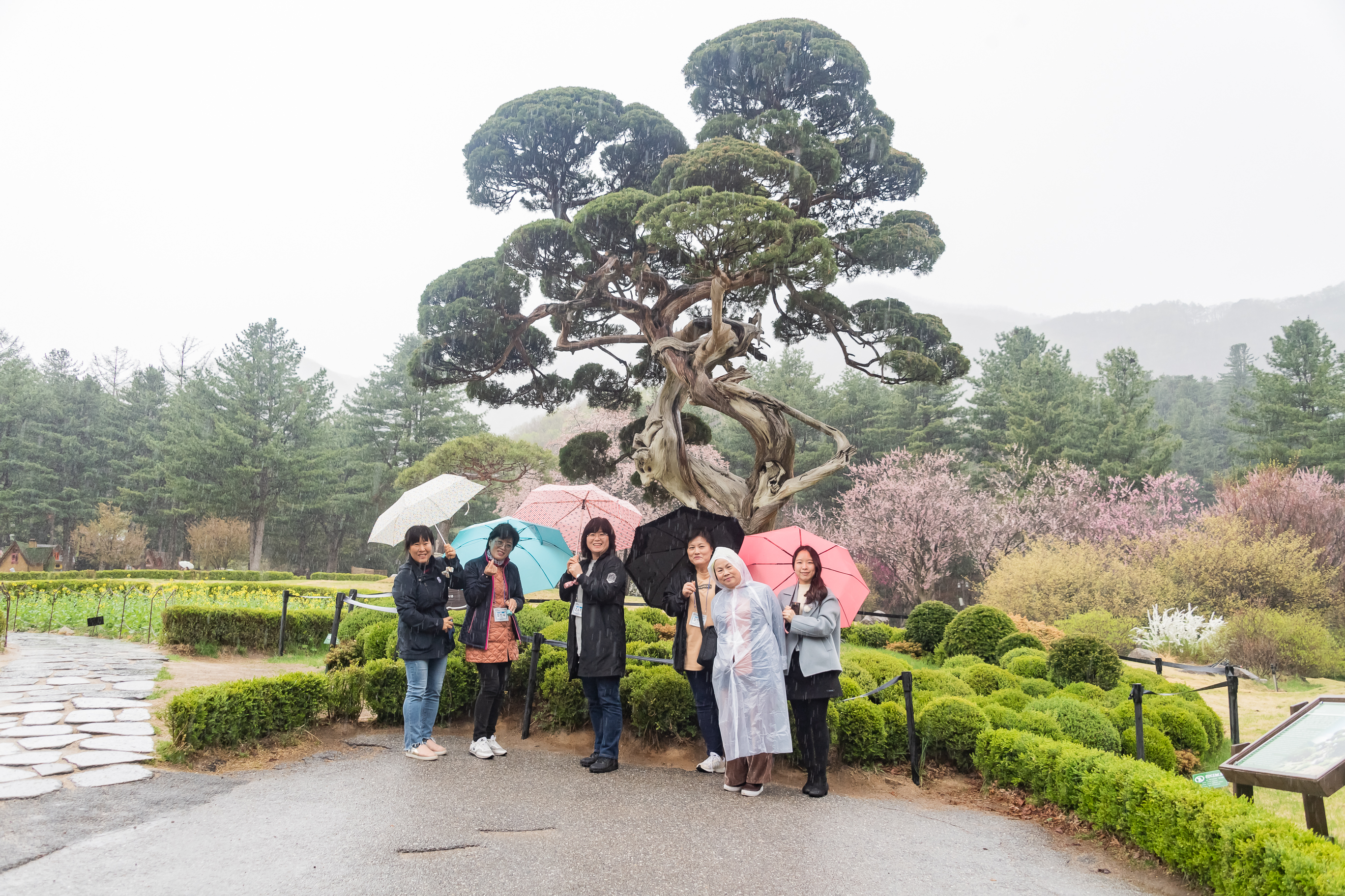 20190425-2019 광진구 통장 역량강화 워크숍 20190425-25553_S_185027.jpg