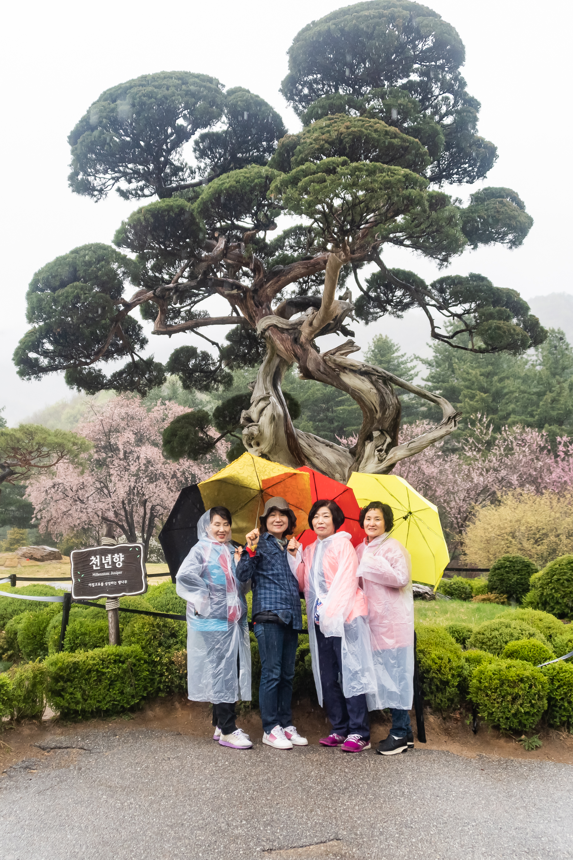 20190425-2019 광진구 통장 역량강화 워크숍 20190425-25808_S_185038.jpg