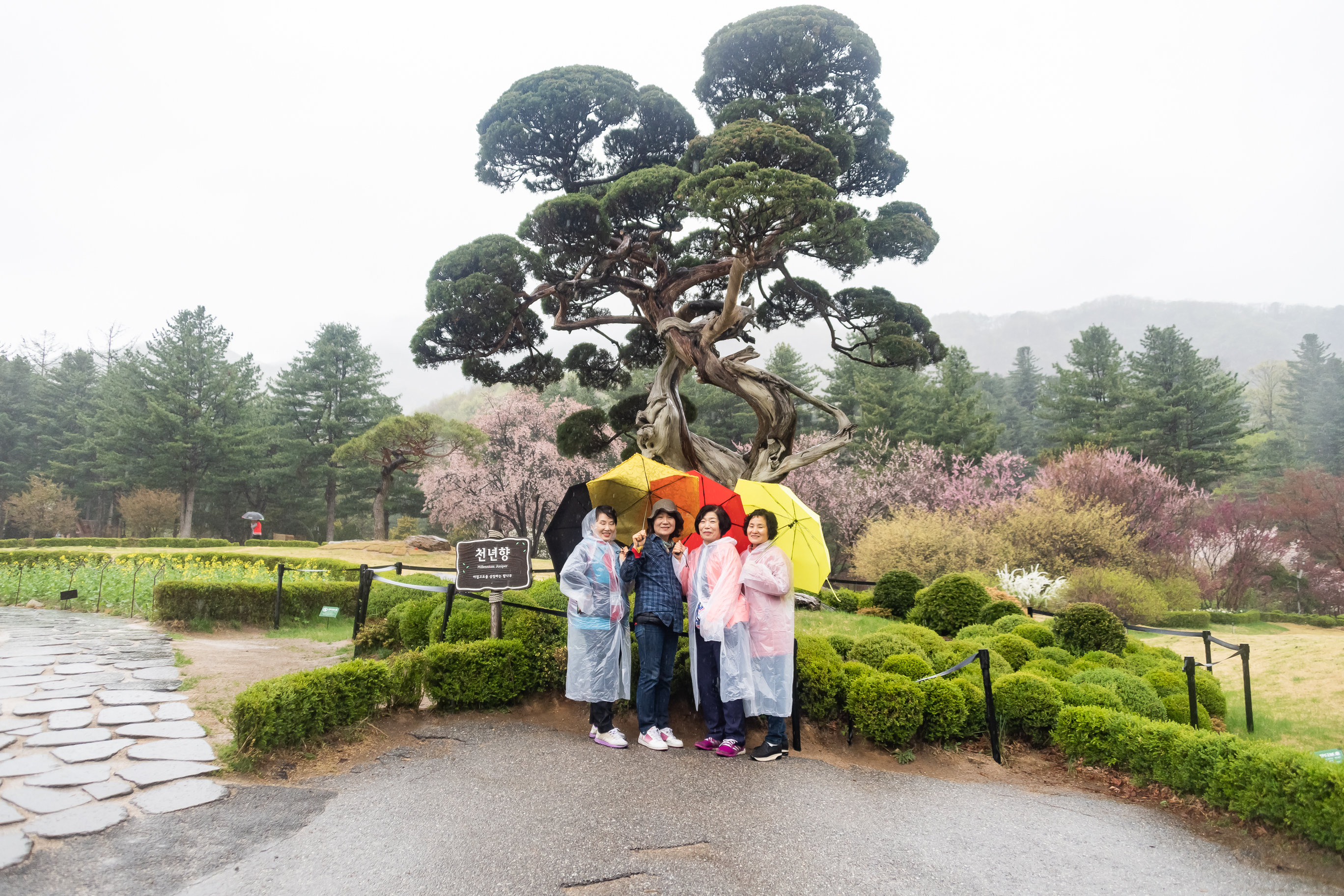 20190425-2019 광진구 통장 역량강화 워크숍 20190425-25812_S_185038.jpg