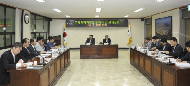 20130723-규제개혁위원회 회의 83668.JPG