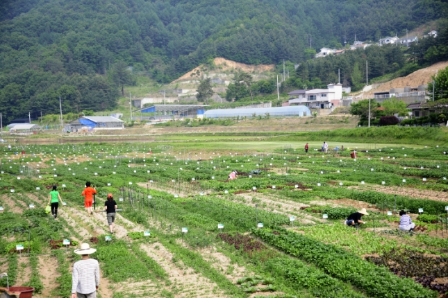 20120526-2012년 친환경농장 체험행사