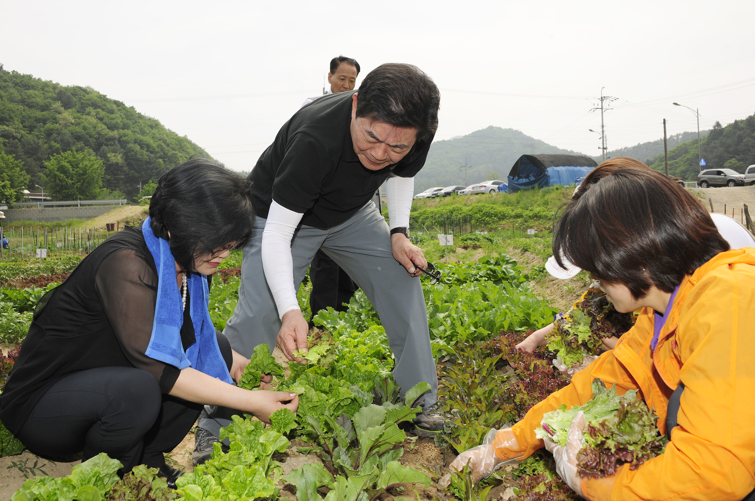 20120526-2012년 친환경농장 체험행사 55735.JPG