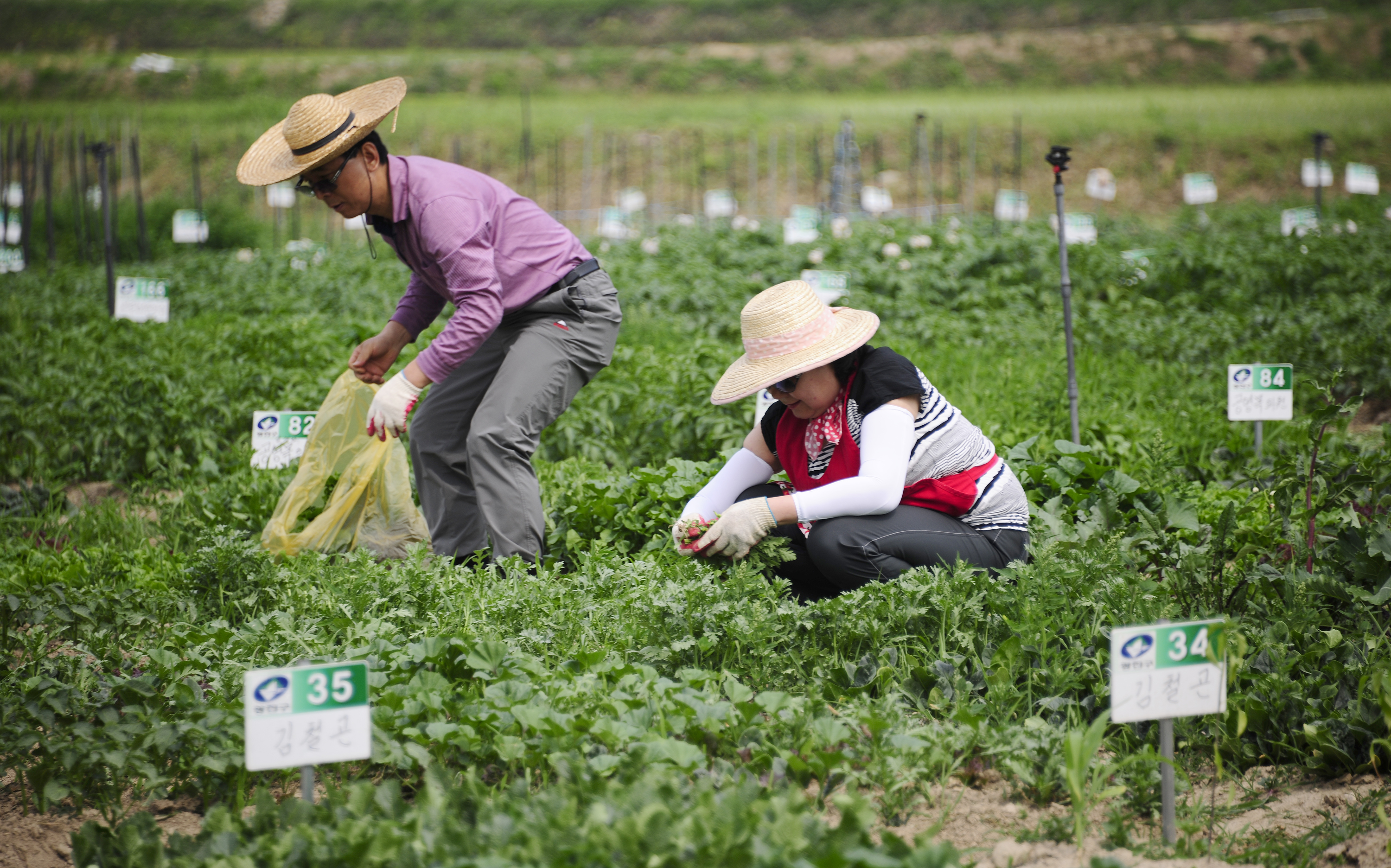 20120526-2012년 친환경농장 체험행사 55706.JPG