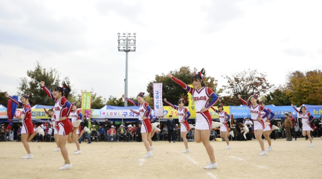 20161028-2016년 광진구민 체육대회(스냅) 146599.JPG