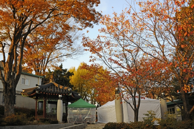 20121114-능동 치성제와 광장동 성황제 64875.JPG