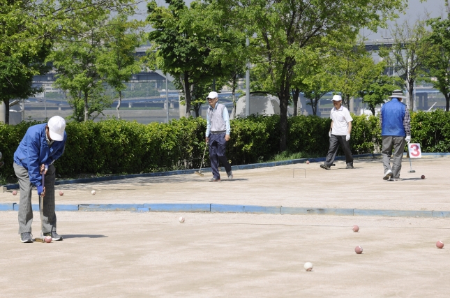 20130521-제10회 구청장배 게이트볼 대회 77681.JPG