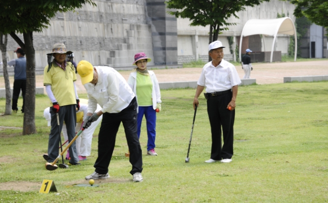 20130620-제9회 연합회장배 그라운드 골프대회