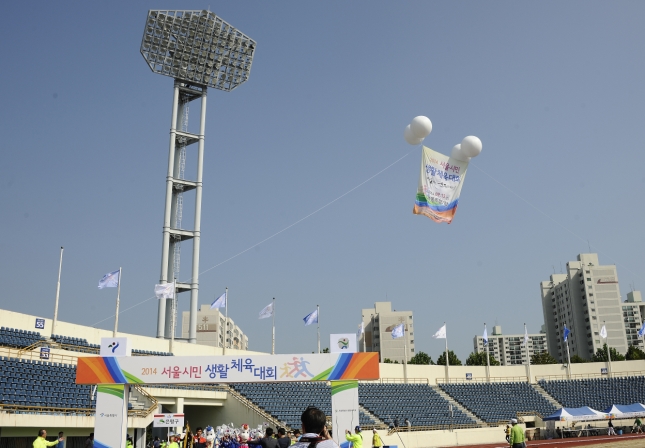 20140913-서울시민 생활 체육대회 103874.JPG