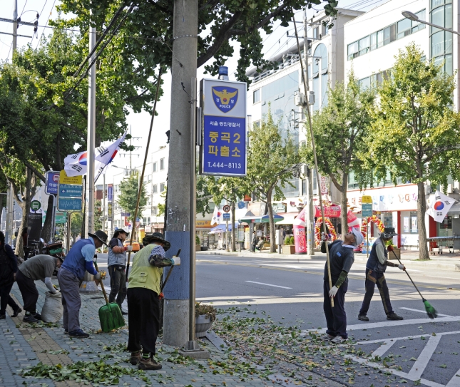 20141010-은행 열매 털기