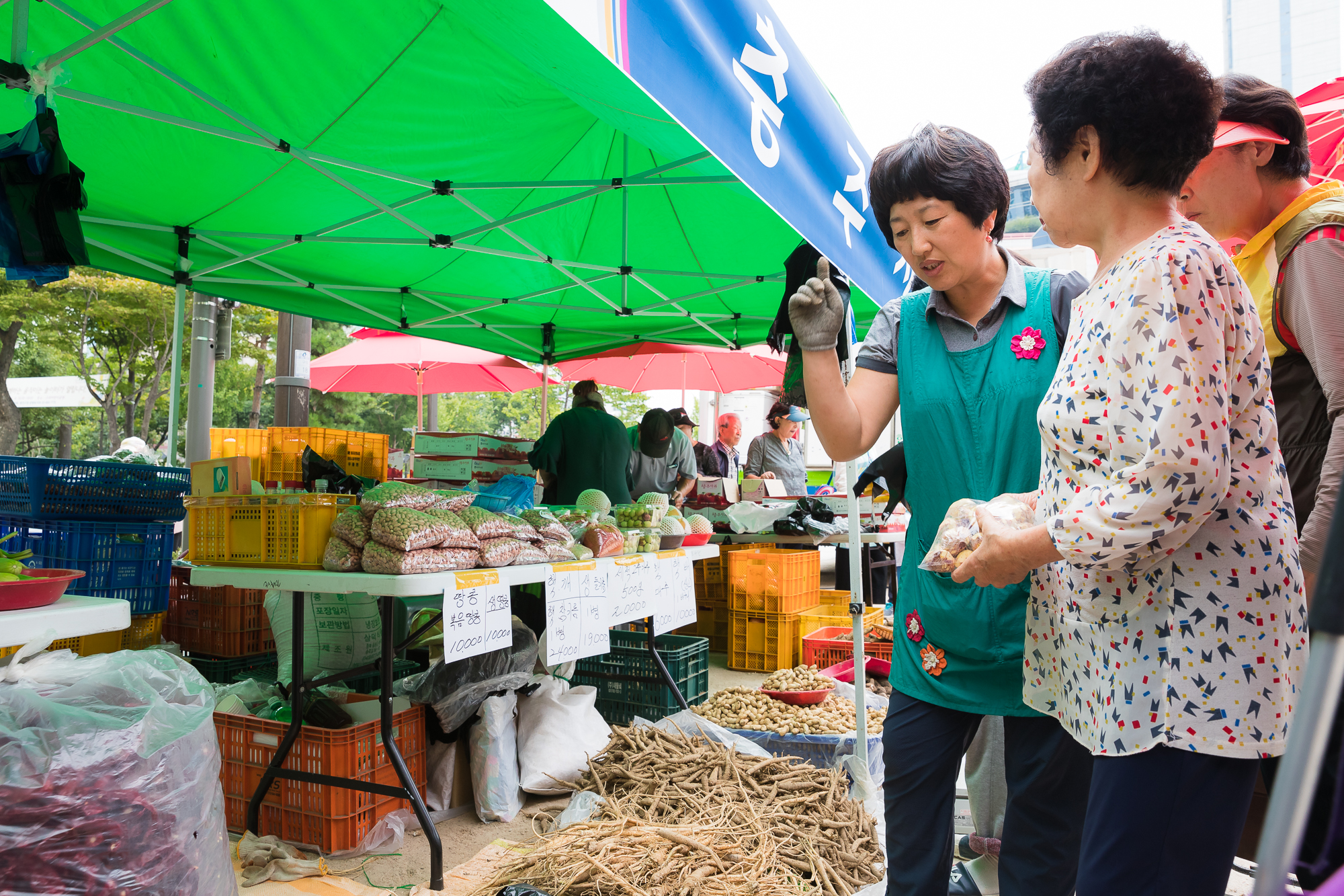 20180919-추석맞이 농수특산물 직거래장터 175778.jpg