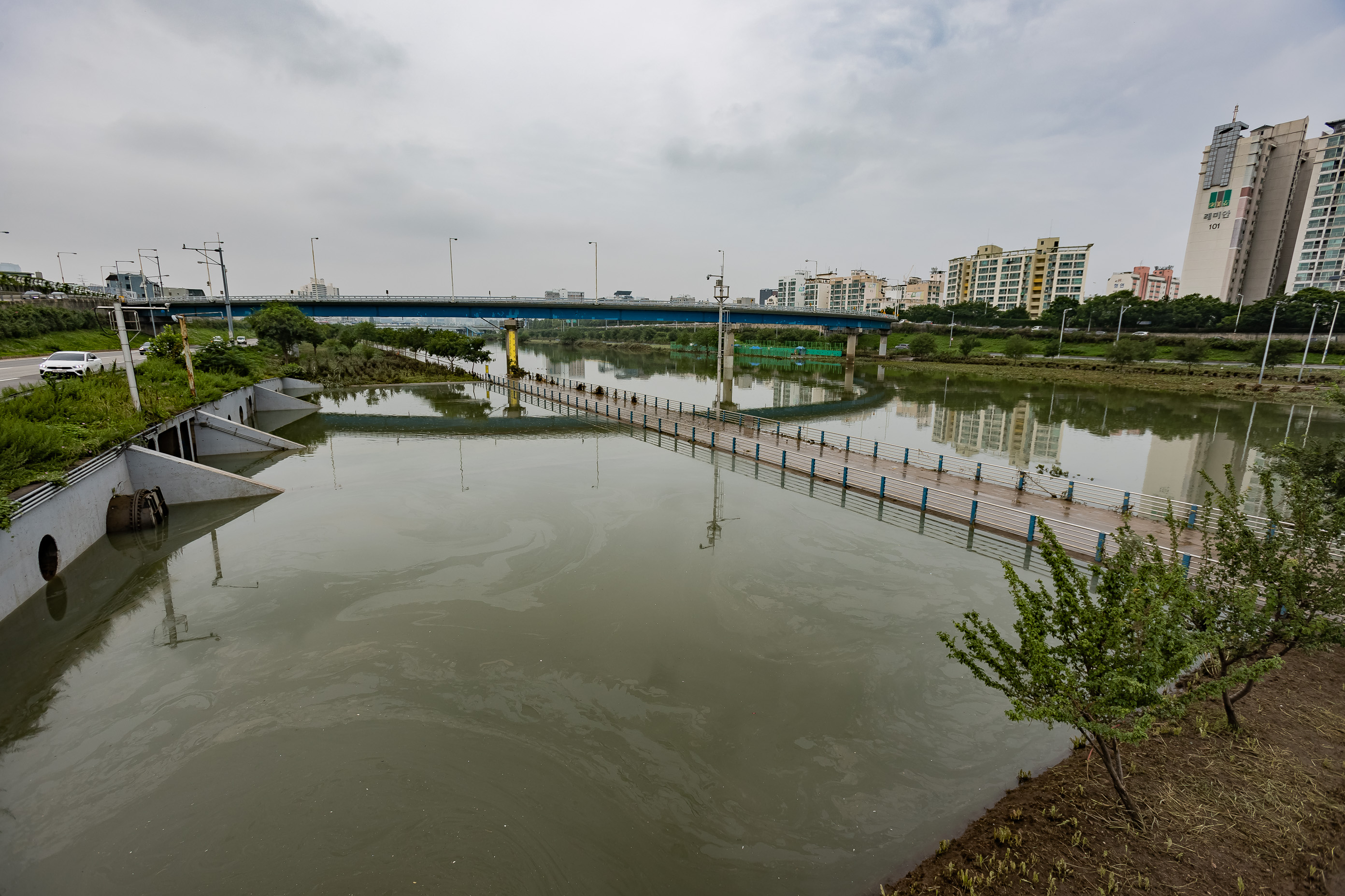 20200807-중랑천, 한강 침수상황 20-08-07-094828_s_105137.jpg