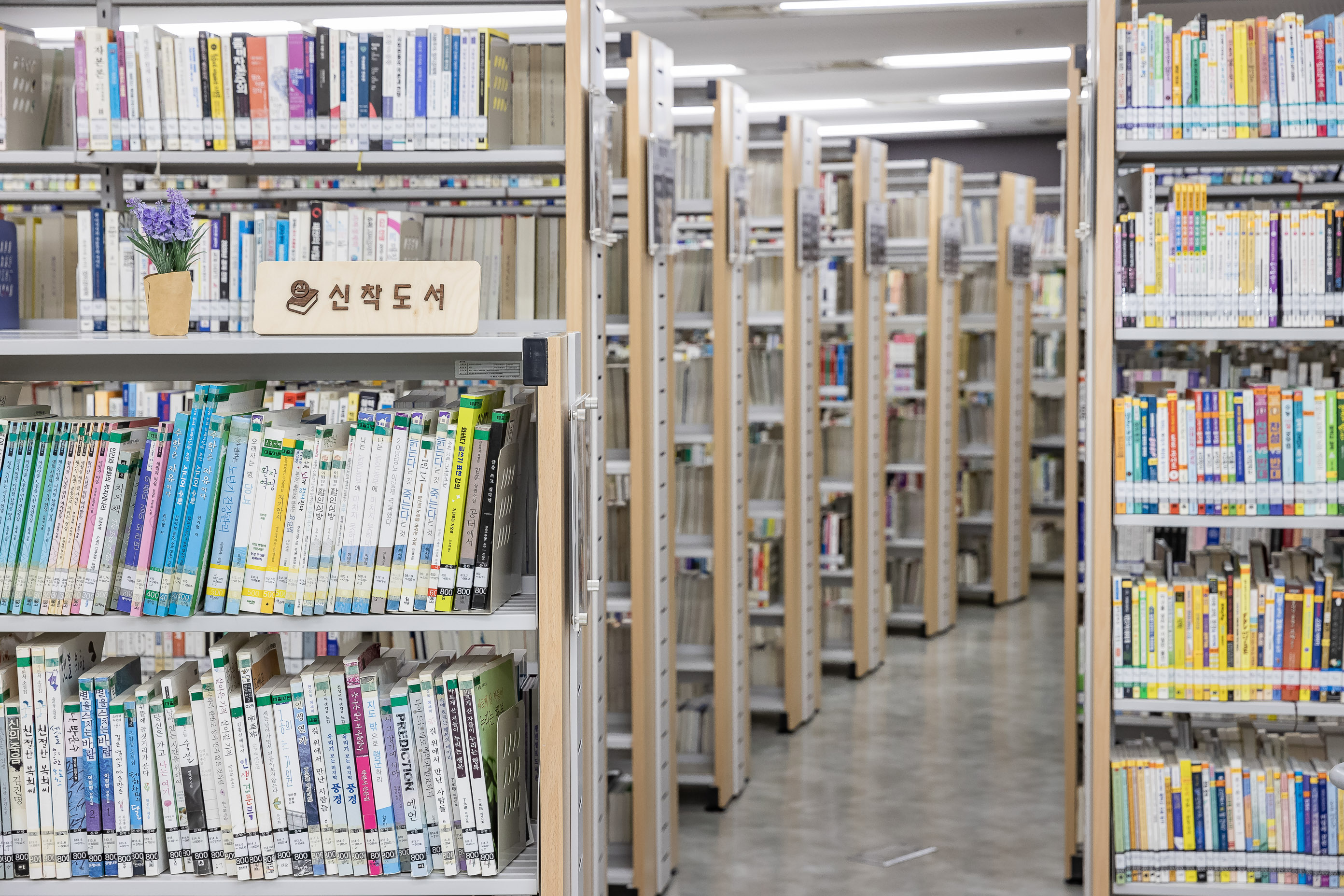 20200812-광진구 공공도서관-6개소 20-08-05-092929_L_s_104809.jpg