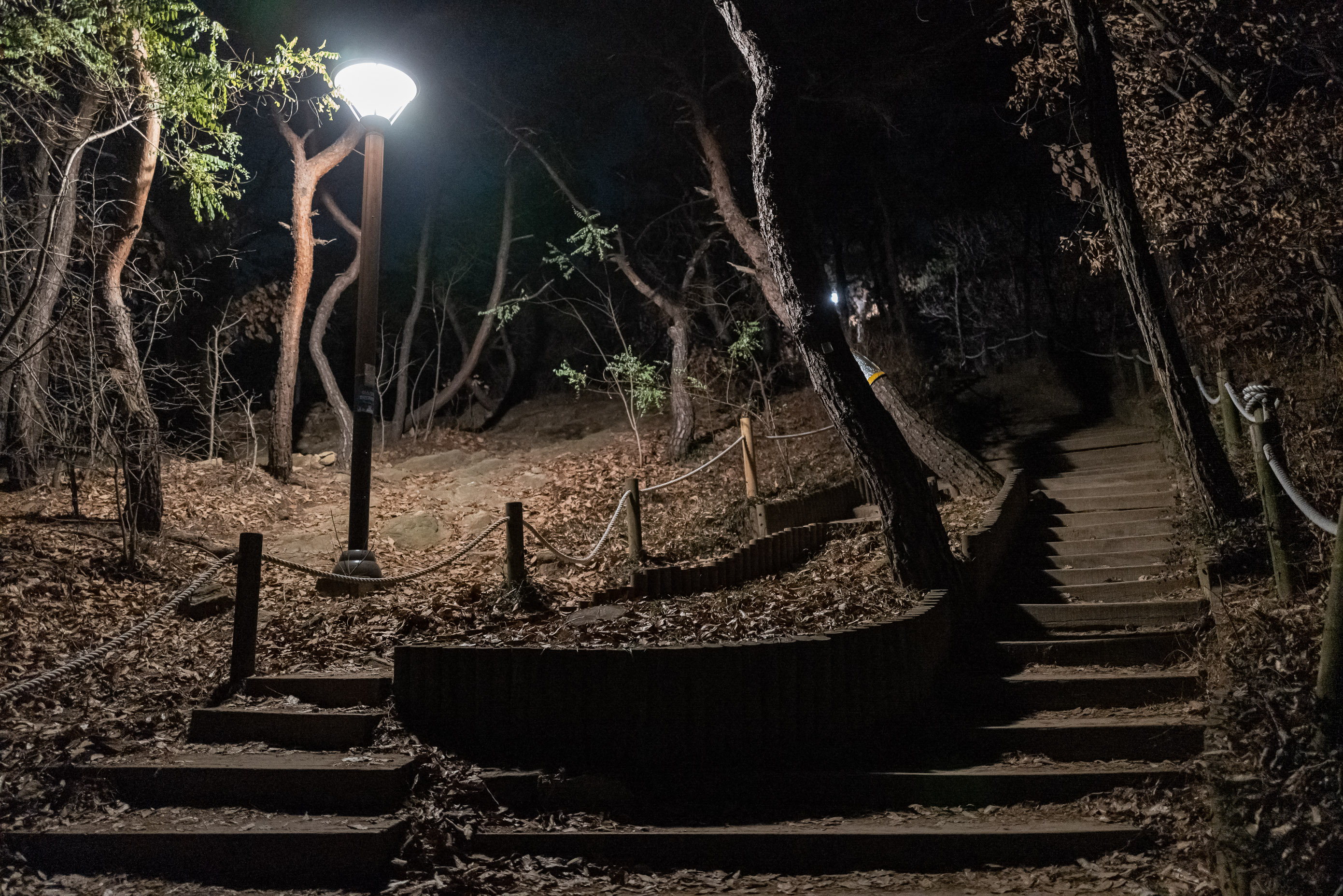 20201231-미리가본 아차산 해맞이 광장 20-12-05-195325_s_091118.jpg