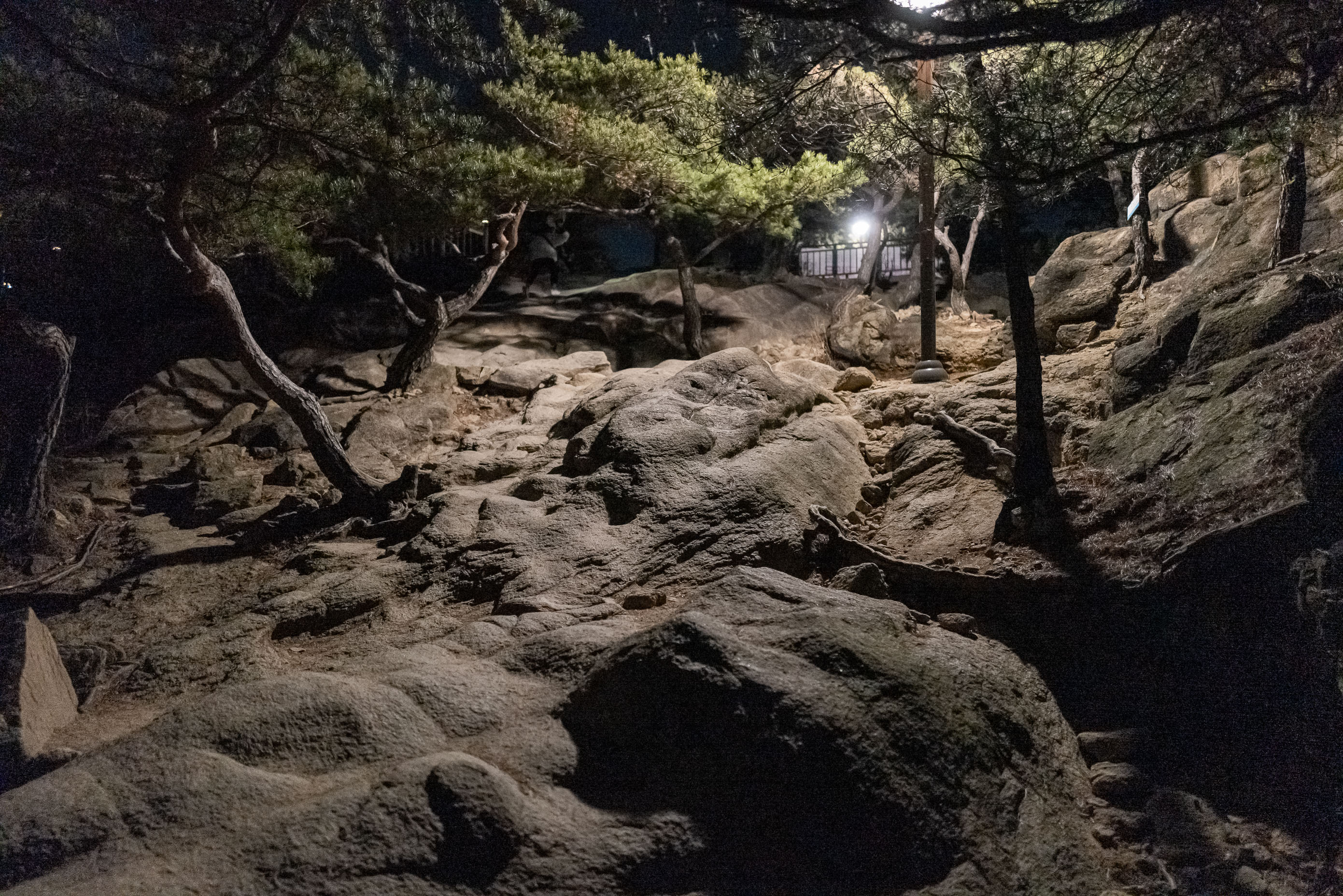 20201231-미리가본 아차산 해맞이 광장 20-12-05-195328_s_091118.jpg