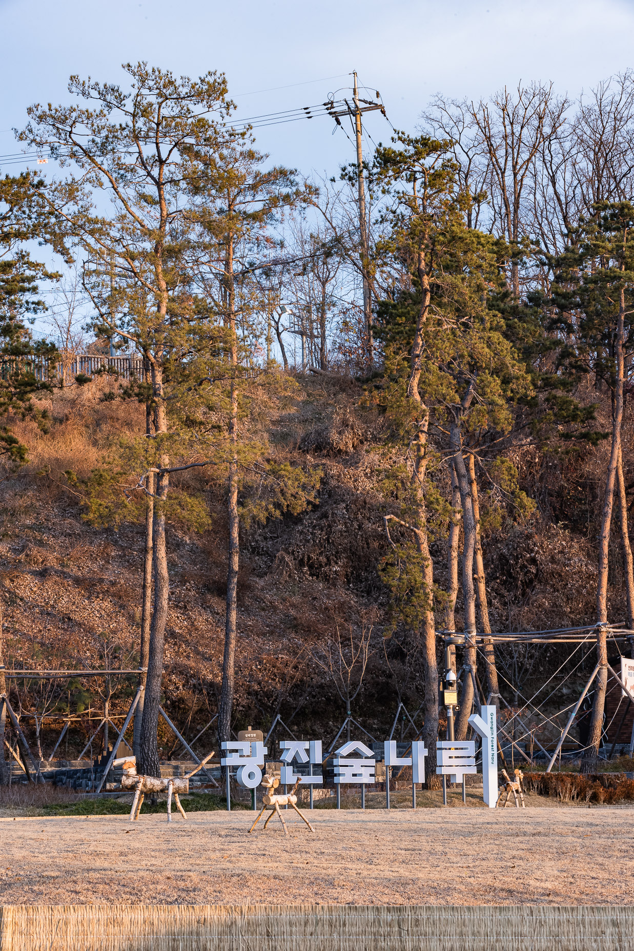 20201208-광진숲나루에서 바라본 일출 20-12-08-196163_s_094431.jpg