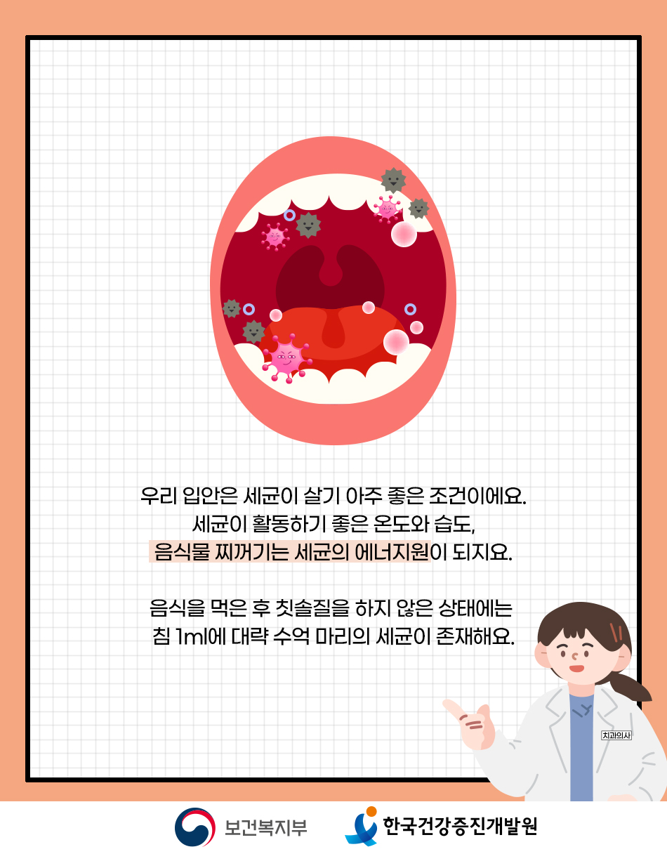 음식을 먹은 후 칫솔질 하지 않은 상태는 세균이 살기 좋은 환경입니다 (침 1ml당 수억마리 세균 존재)