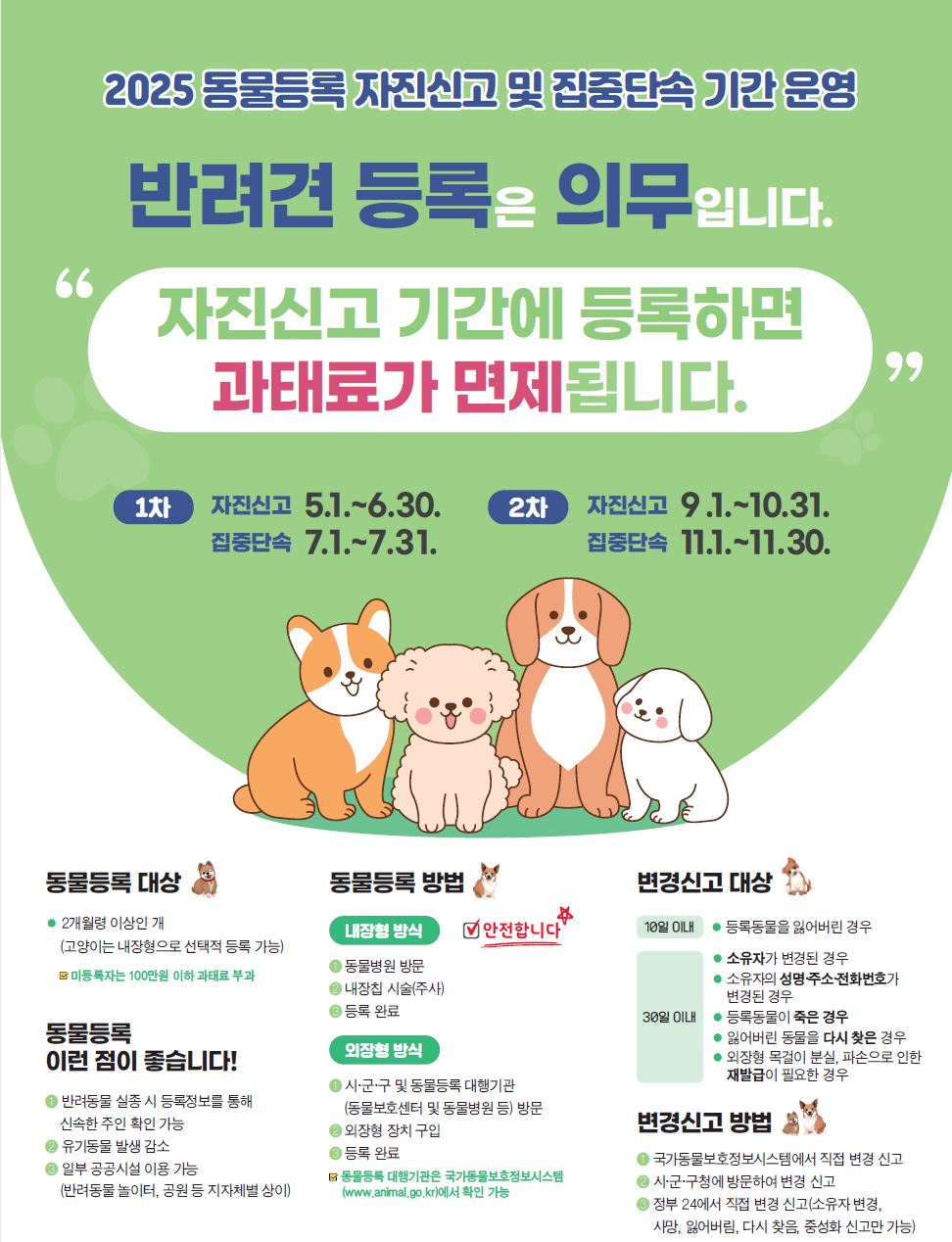 반려동물 자진신고 및 집중단속 기간운영 포스터