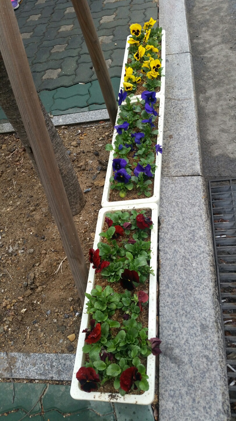 걷고싶은거리 조성(4.5.)