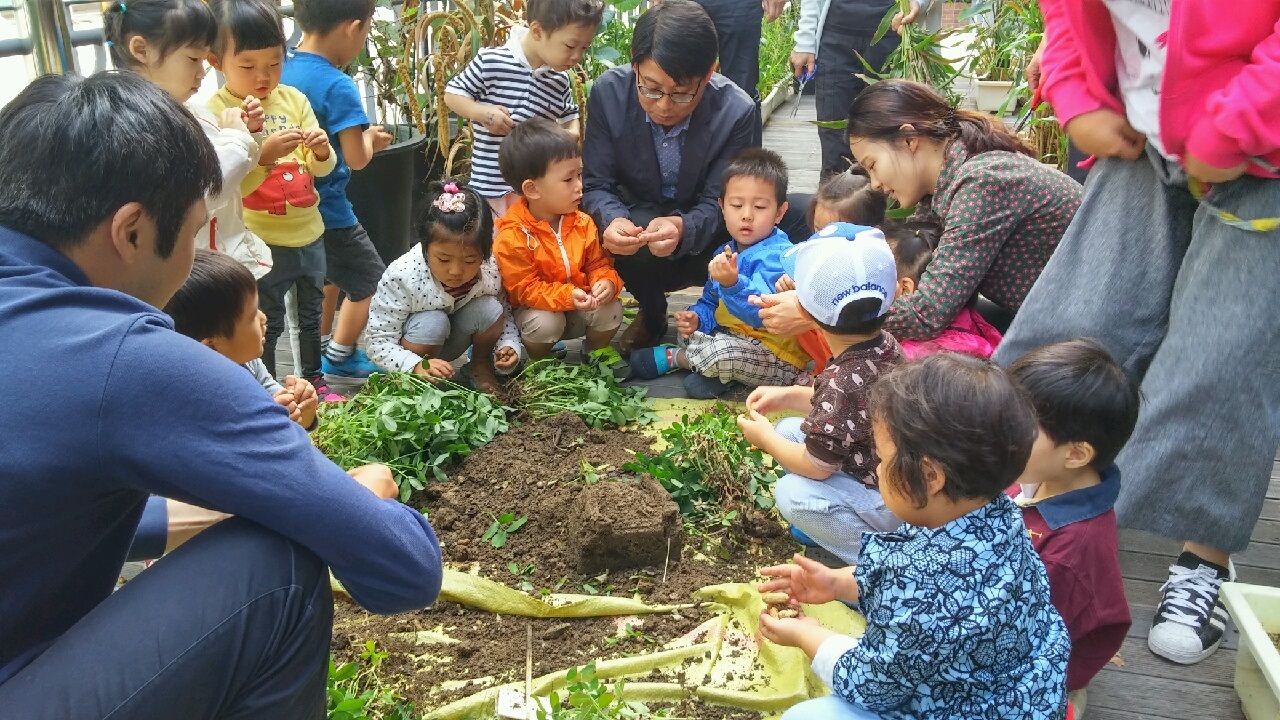 자양어린이집과 함께한 자양3동 풀내음텃밭 작물수확 