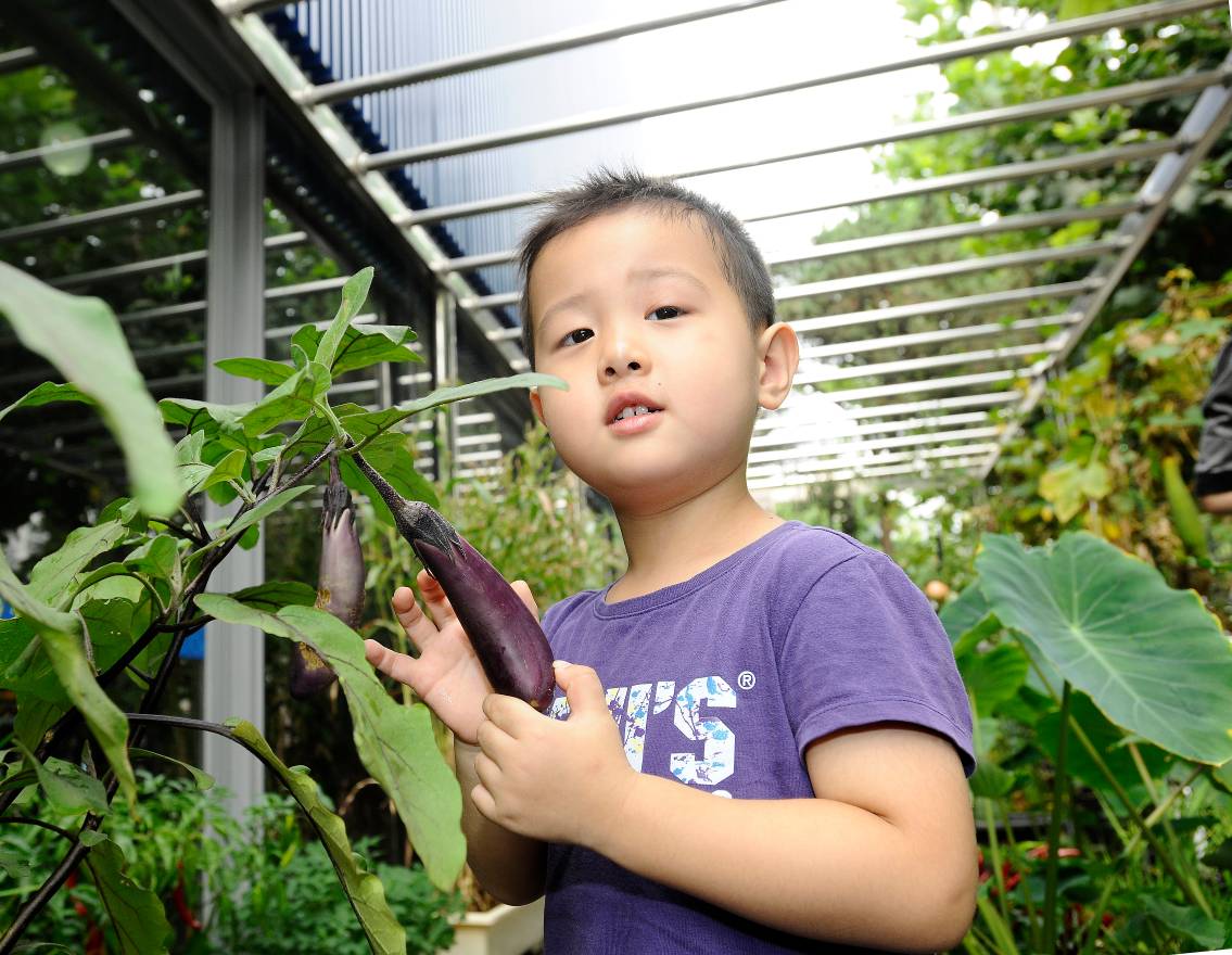 자양3동 풀내음텃밭에 아기천사들이 찾아왔습니다. 