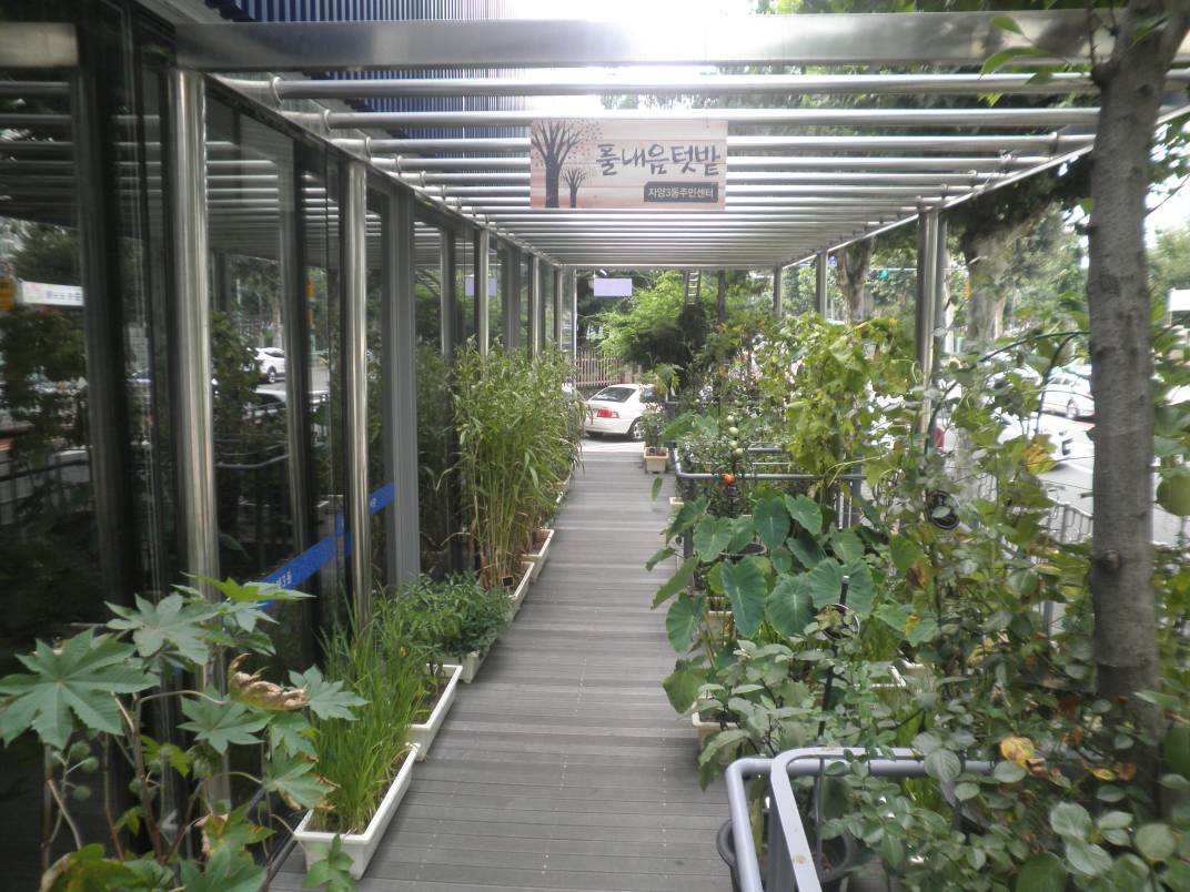 도심속에서 자연을 만나다, 자양3동주민센터 풀내음텃밭