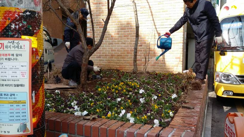 쓰레기 무단투기지역 꽃묘식재
