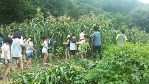 농촌체험교실 (여주팜스테이마을)