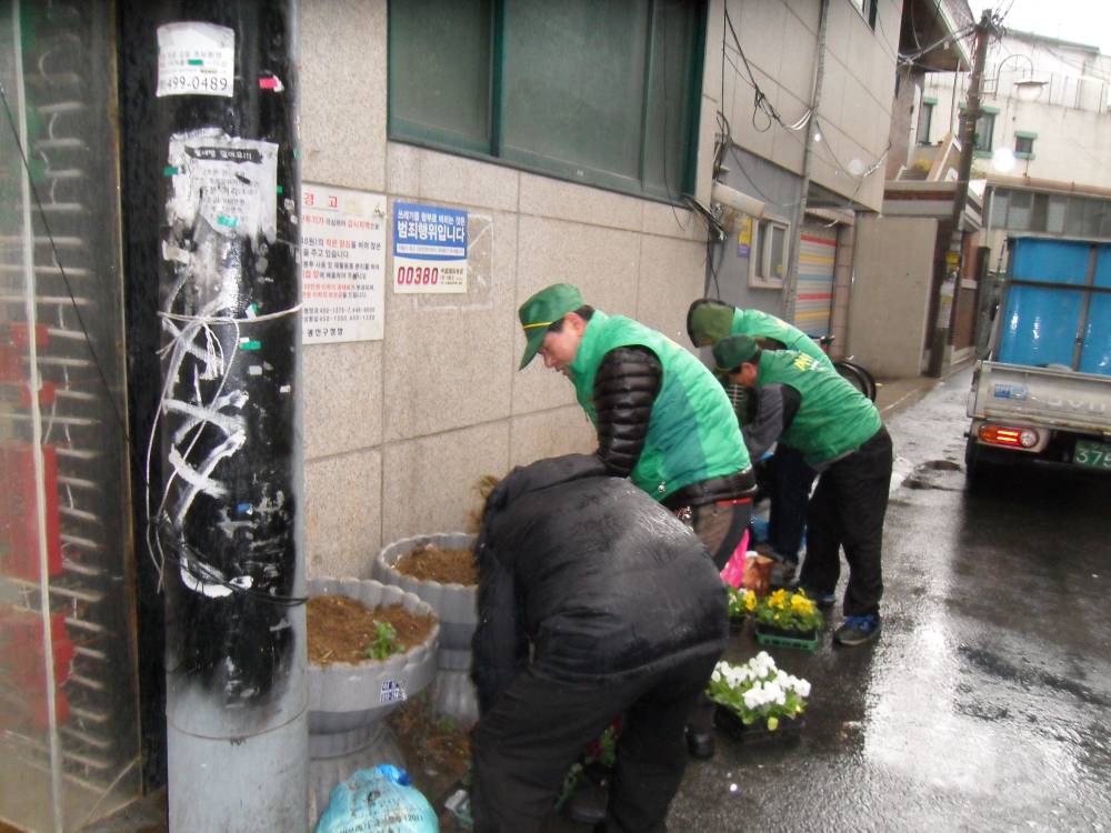 새마을지도자협의회 무단투기지역 꽃식재