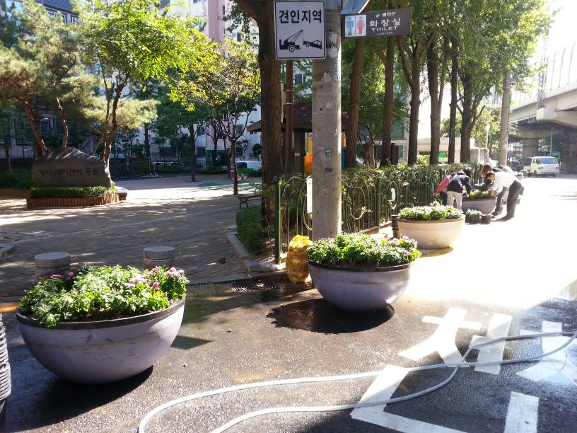 개나리공원입구 꽃심기