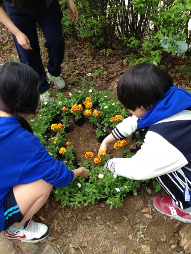 꽃심기(환경개선)