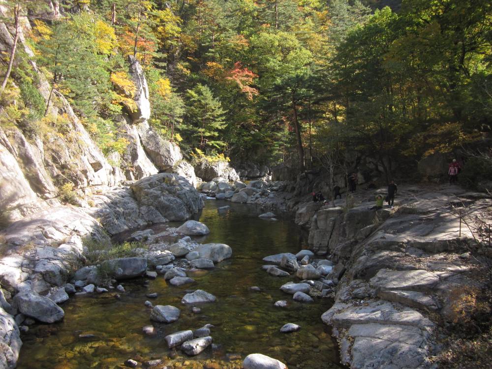 2013년 10월 통친회 "소금강" 야유회