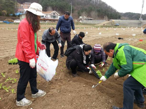 친환경 농장가꾸기