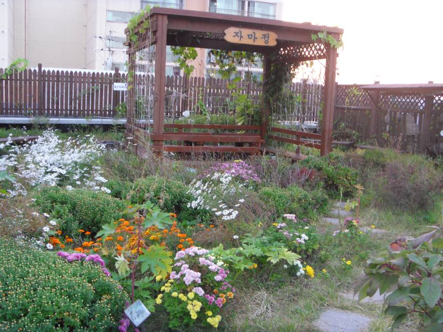 자양2동주민센터 옥상공원에 가을이 왔어요 ~ 