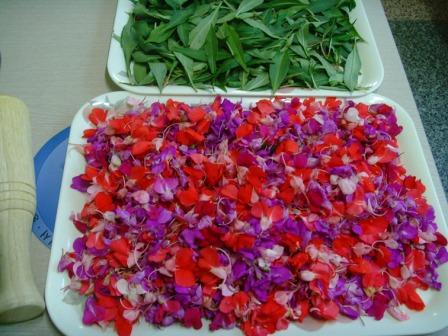 봉선화 꽃물들이기(새마을도서관)