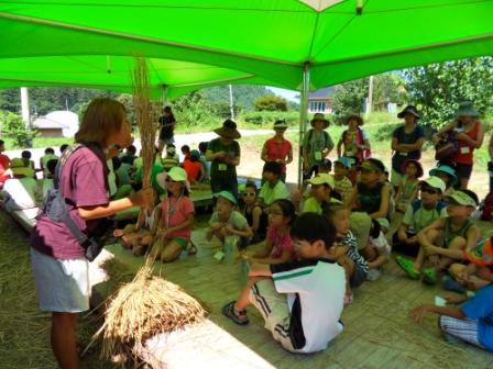 자치회관 여름방학 특화프로그램 1