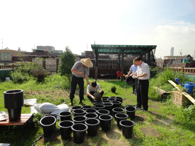 국화의 향연을 꿈꾸며2