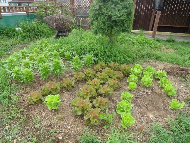 구둘하늘공원으로 놀러 오셔요~~