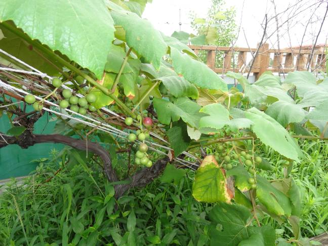 구둘하늘공원으로 놀러 오셔요~~