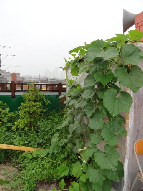 구둘공원에서 쉬었다 가세요~~