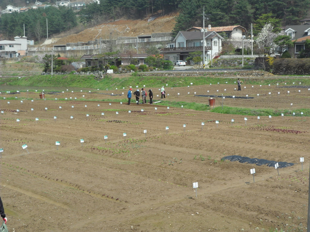 2012년 4월 주말농장