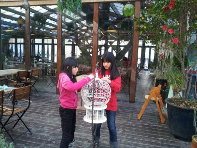 허브빌리지 실내 화원