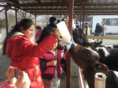 젖소야 많이 먹어