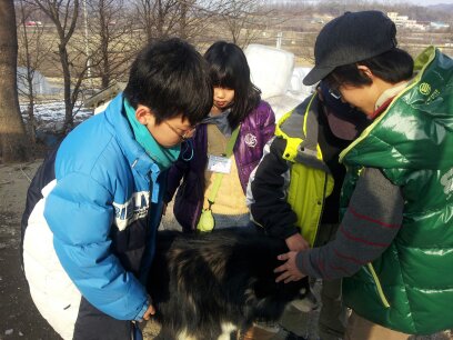 절대 물지 않는 강아지