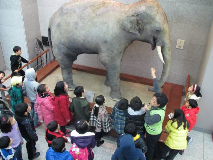 서대문자연사박물관 다녀왔어요~^^*