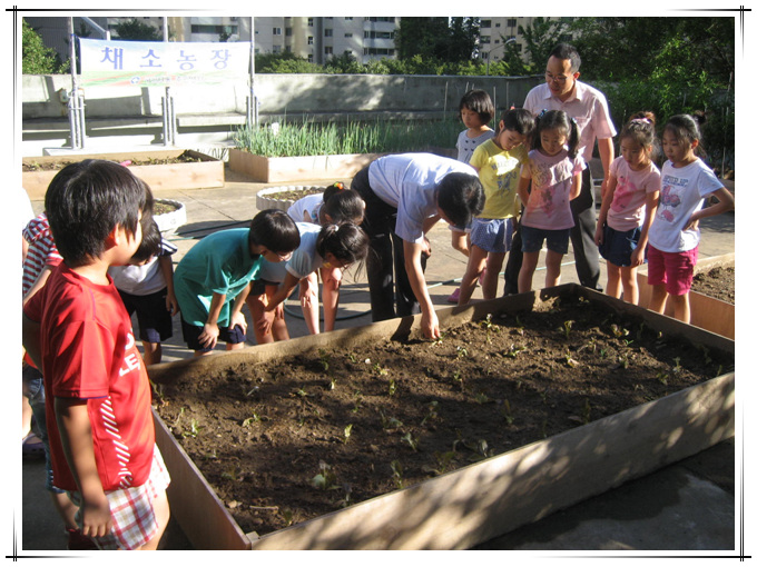 구의3동 채소농장 운영(09.06)